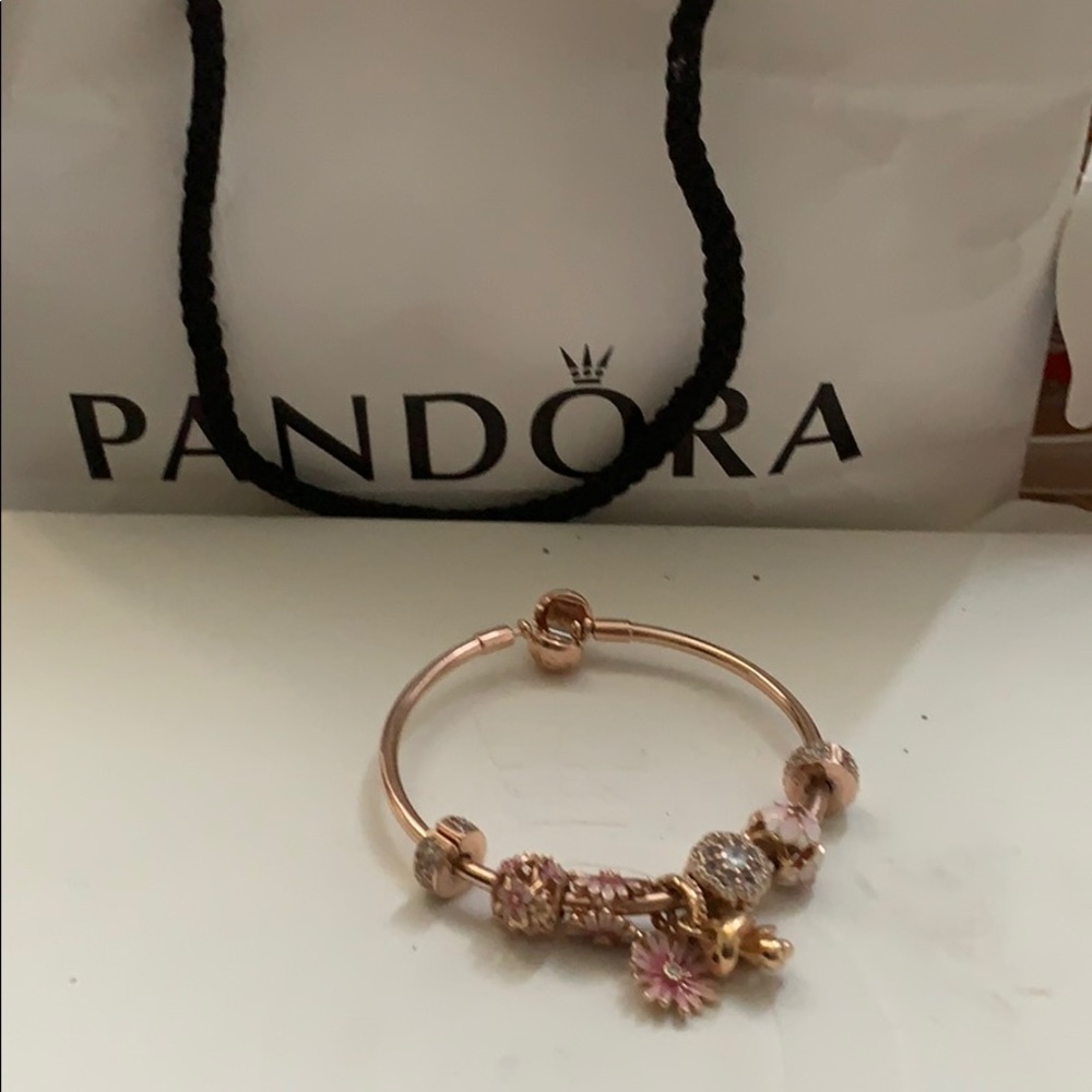 Pandoras bracelet